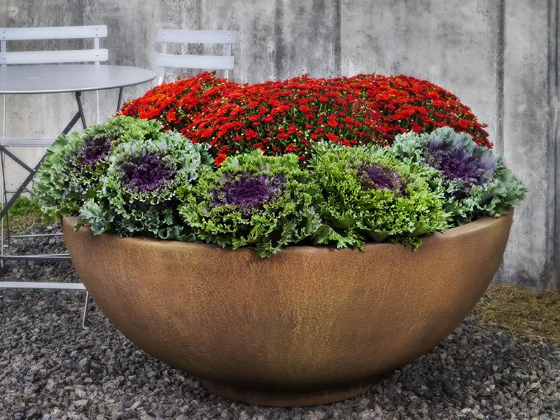 Asian Inspired Planters planters