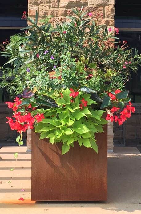 Campus Corten Planter Rust