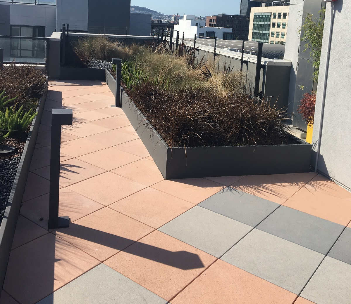 Low lying rectangular large planter on rooftop