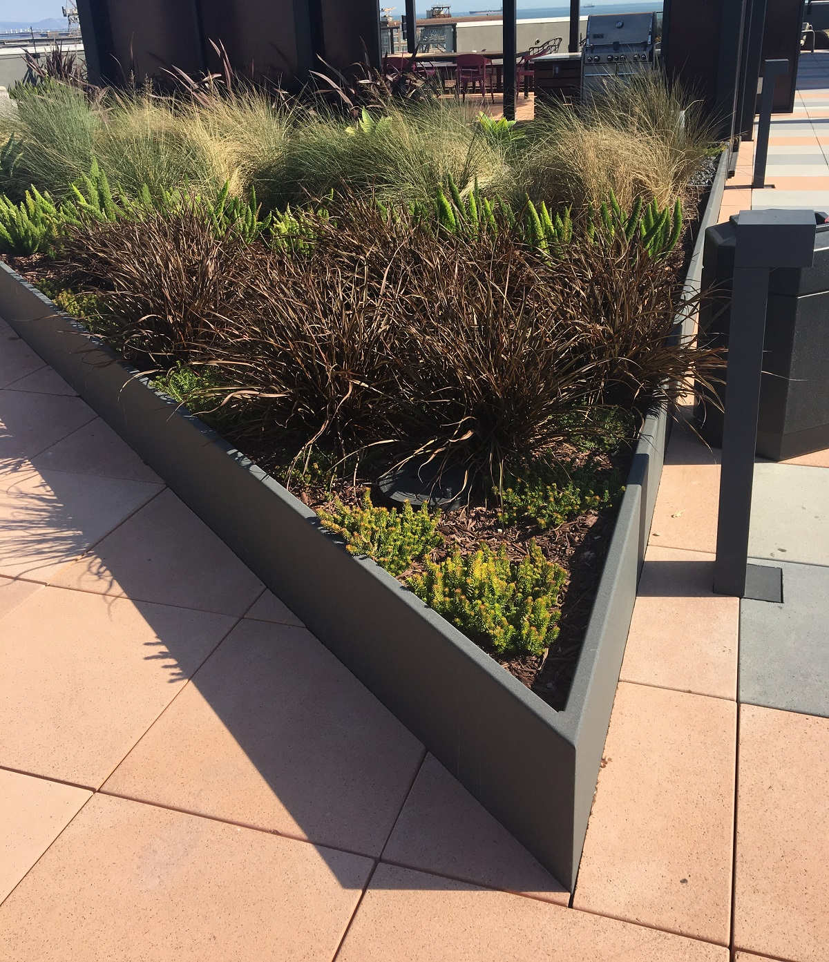 Raised Metal Planter Bed on Rooftop