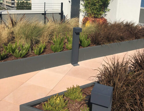 San Francisco Bay Rooftop