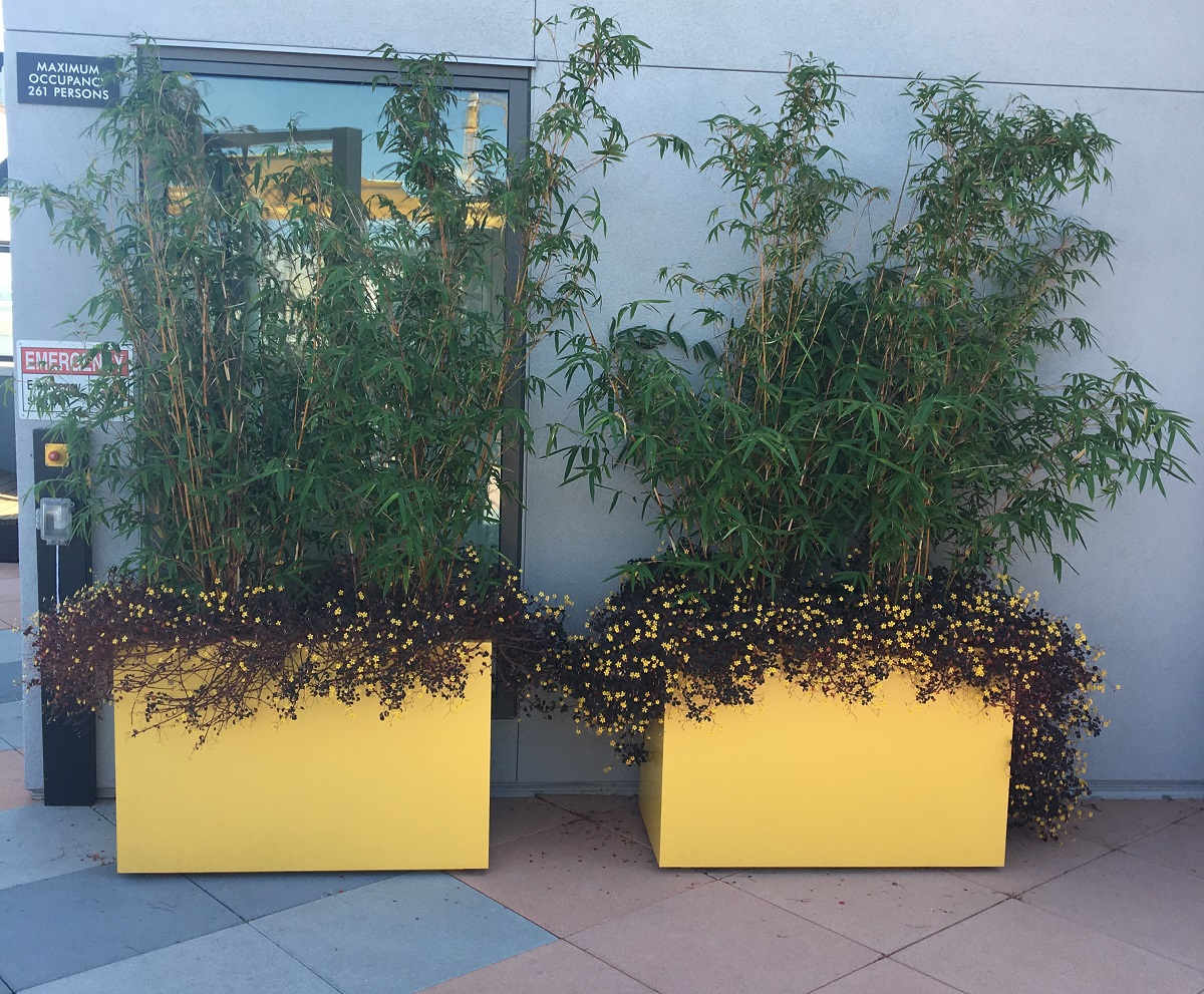 Pair of Custom yellow metal planters